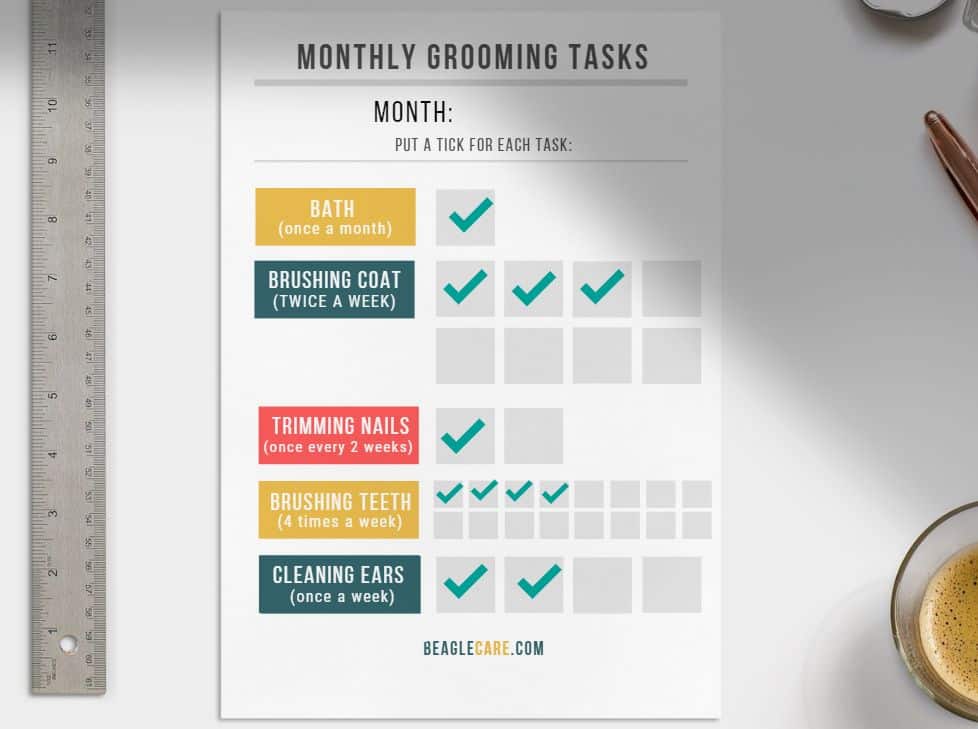 Grooming task planner and scheduler