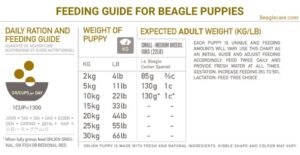 Beagle Feeding Guide: Age wise Diet Chart, Quantity and Best Food