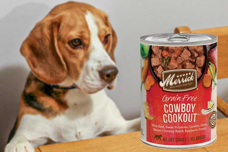 Wet Dog Food for beagles