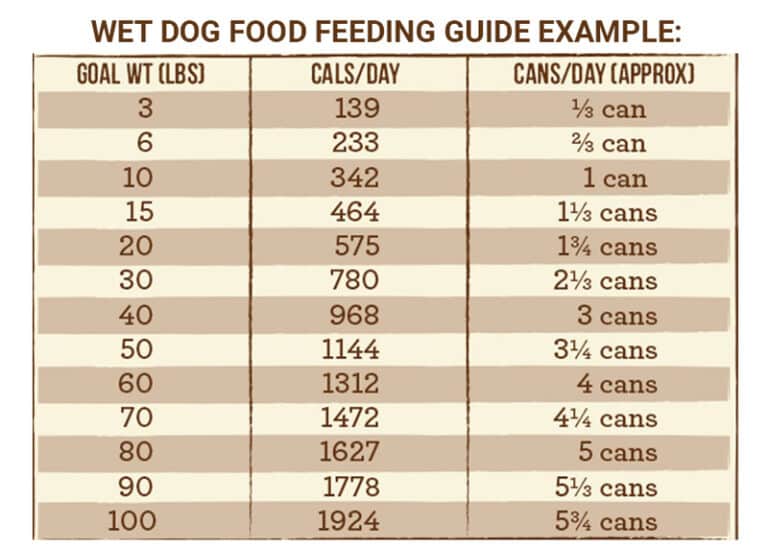 7 Best Wet Dog Food for Beagles with Feeding Guide Beagle Care